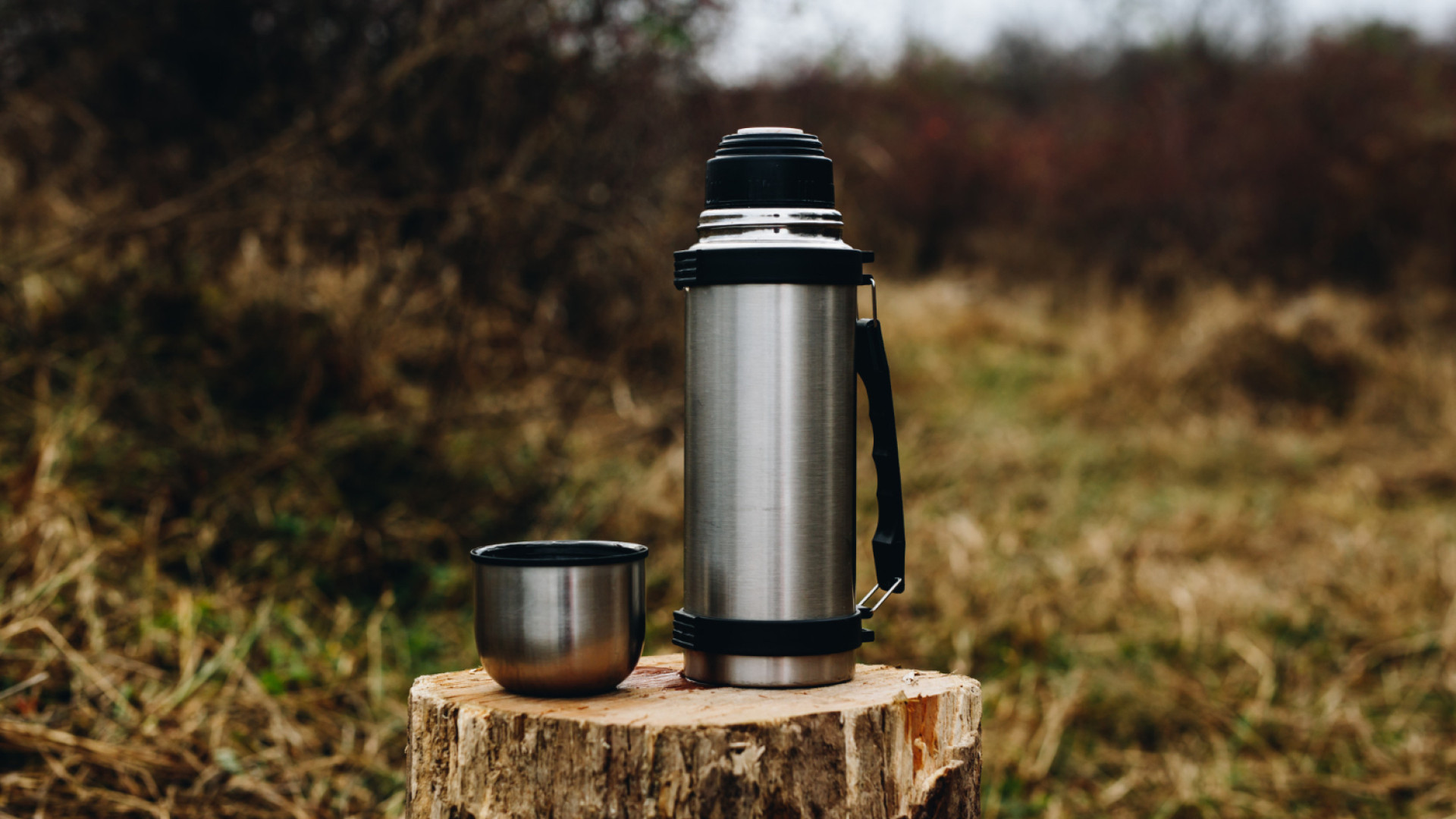 Thermos : bien plus qu’un contenant, un compagnon du quotidien